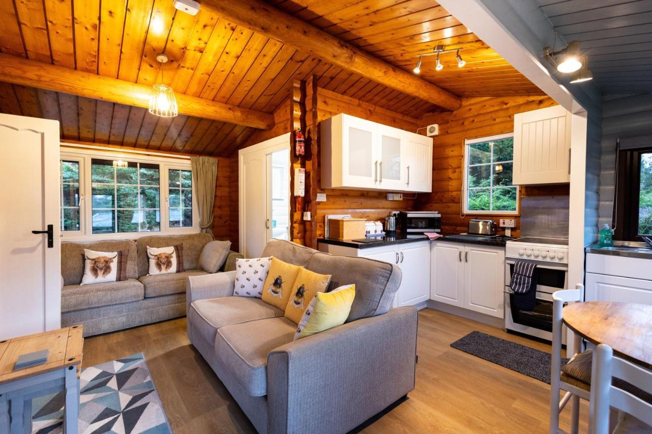 Mountain View Log Cabin In Snowdonia Nr Coed Y Brenin Tanygrisiau Dış mekan fotoğraf